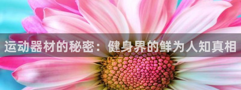 意昂体育3平台注册：运动器材的秘密：健身界的鲜为人知