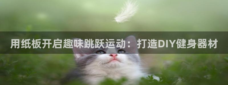 意昂体育3招商电话号码查询是多少：用纸板开启趣味跳跃