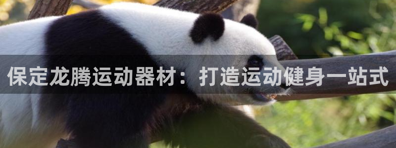 意昂3代理：保定龙腾运动器材：打造运动健身一站式
