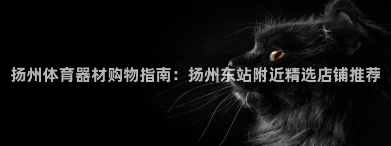 意昂3娱乐40996：扬州体育器材购物指南：扬州东站附近精选
