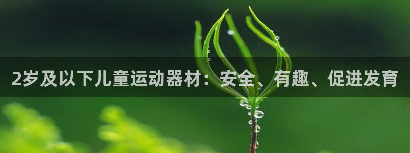 意昂体育3平台注册流程视频：2岁及以下儿童运动器材：