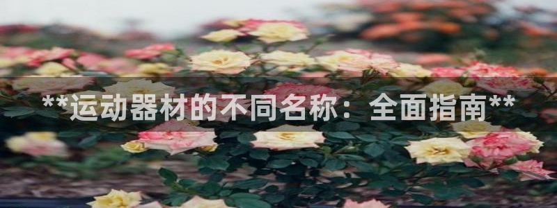 意昂3开户：**运动器材的不同名称：全面指南**
