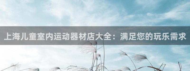 意昂3新能源：上海儿童室内运动器材店大全：满足您的玩