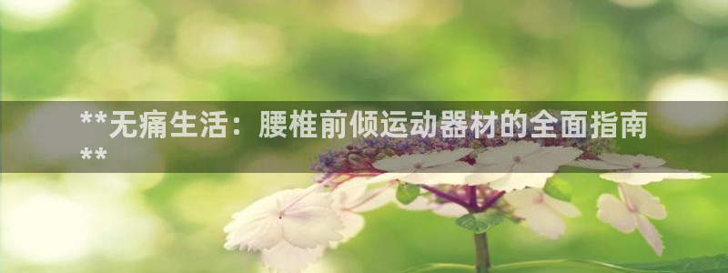 意昂3娱乐首页官网下载：**无痛生活：腰椎前倾运动器