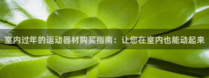 意昂3娱乐网站：室内过年的运动器材购买指南：让您在室内也能动