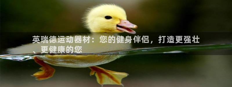 意昂体育3平台注册要钱吗：英瑞德运动器材：您的健身伴