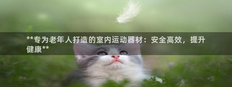 意昂3集团E.ON：**专为老年人打造的室内运动器材