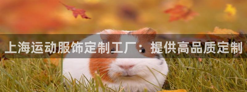 意昂体育3平台注册要钱吗安全吗：上海运动服饰定制工厂