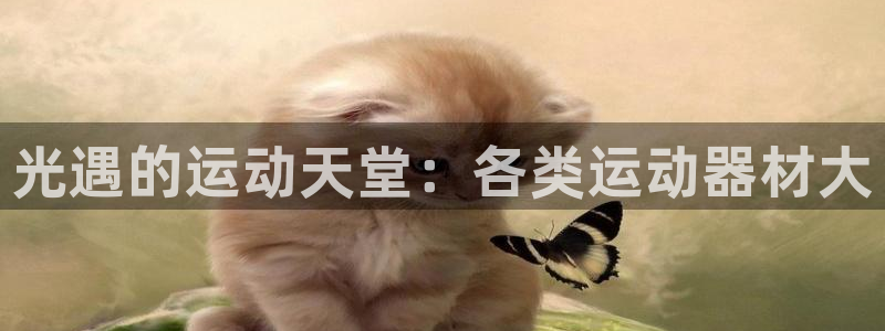 意昂体育3平台是正规平台吗：光遇的运动天堂：各类运动