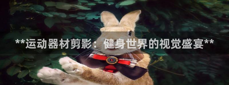 意昂体育3平台注册：**运动器材剪影：健身世界的视觉