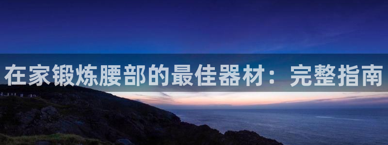 意昂体育3软件：在家锻炼腰部的最佳器材：完整指南