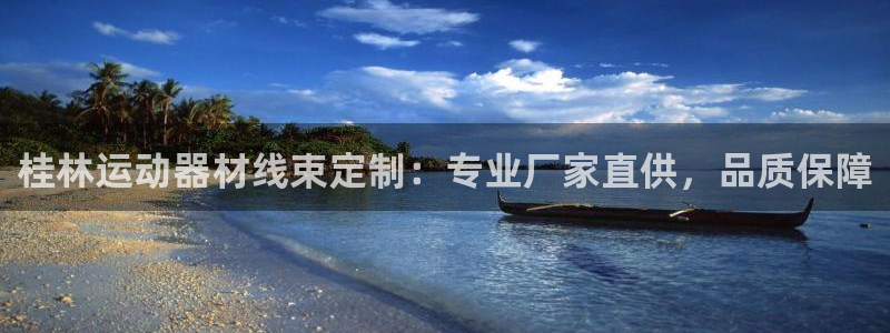 意昂体育3官方客服电话：桂林运动器材线束定制：专业厂