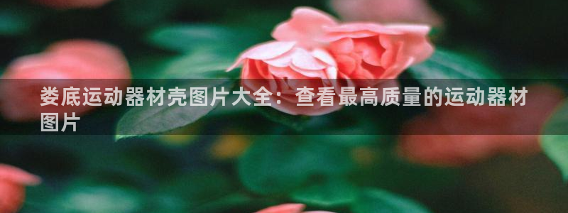 意昂3集团：娄底运动器材壳图片大全：查看最高质量的运