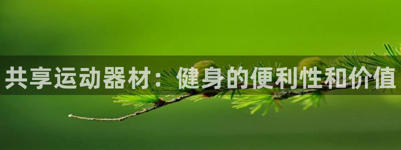 意昂体育3招商电话号码：共享运动器材：健身的便利性和价值
