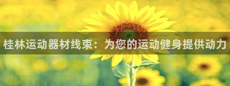 意昂3代理：桂林运动器材线束：为您的运动健身提供动力