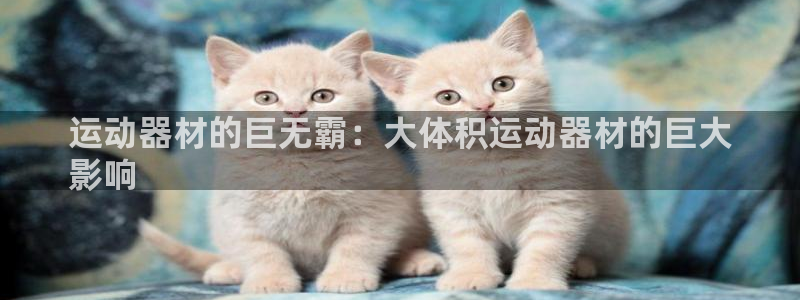 意昂体育3招商电话地址：运动器材的巨无霸：大体积运动器材的巨