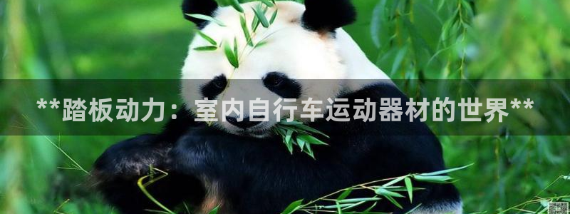 意昂3集团简介：**踏板动力：室内自行车运动器材的世界**