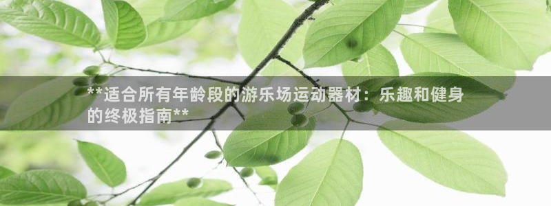 意昂3集团官网网址：**适合所有年龄段的游乐场运动器材：乐趣