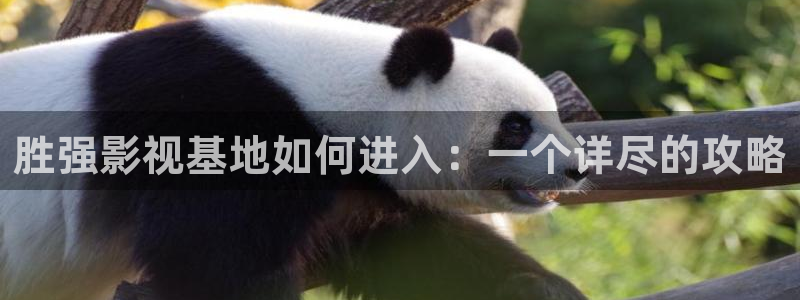 悟空舞蹈视频