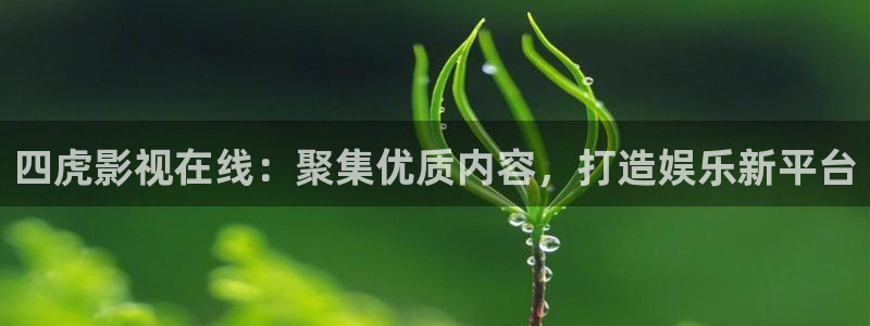 悟空影视在线