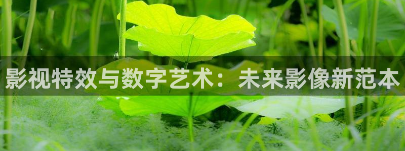 孙悟空的坟墓视频