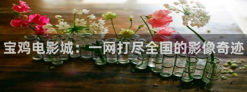 悟空高清在线完整版观看