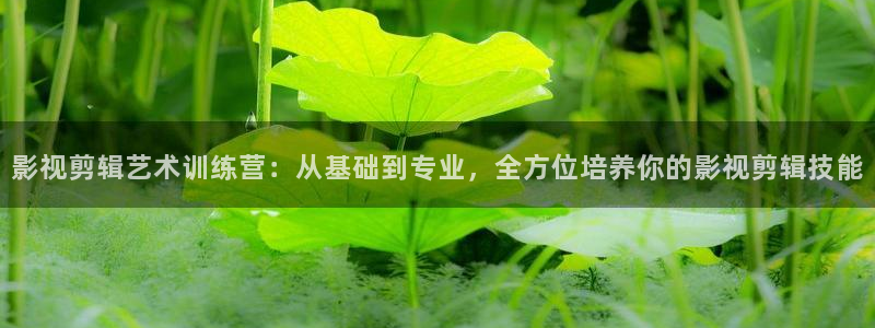 悟空tv直播