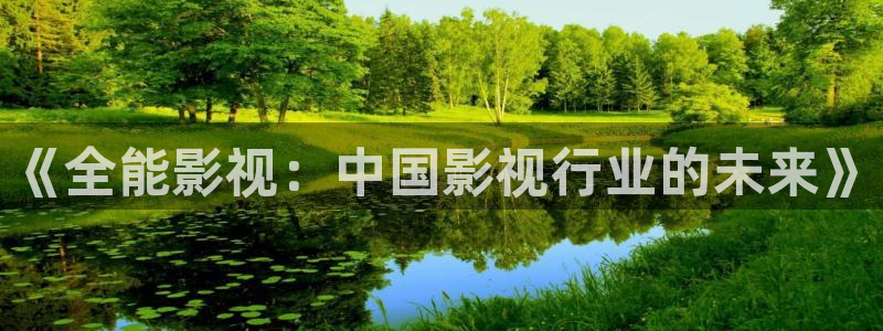 悟空视频高清